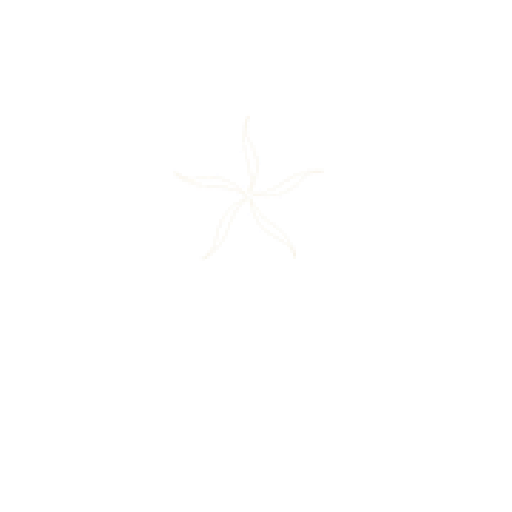 Zoetry Wellness & Spa Resorts
